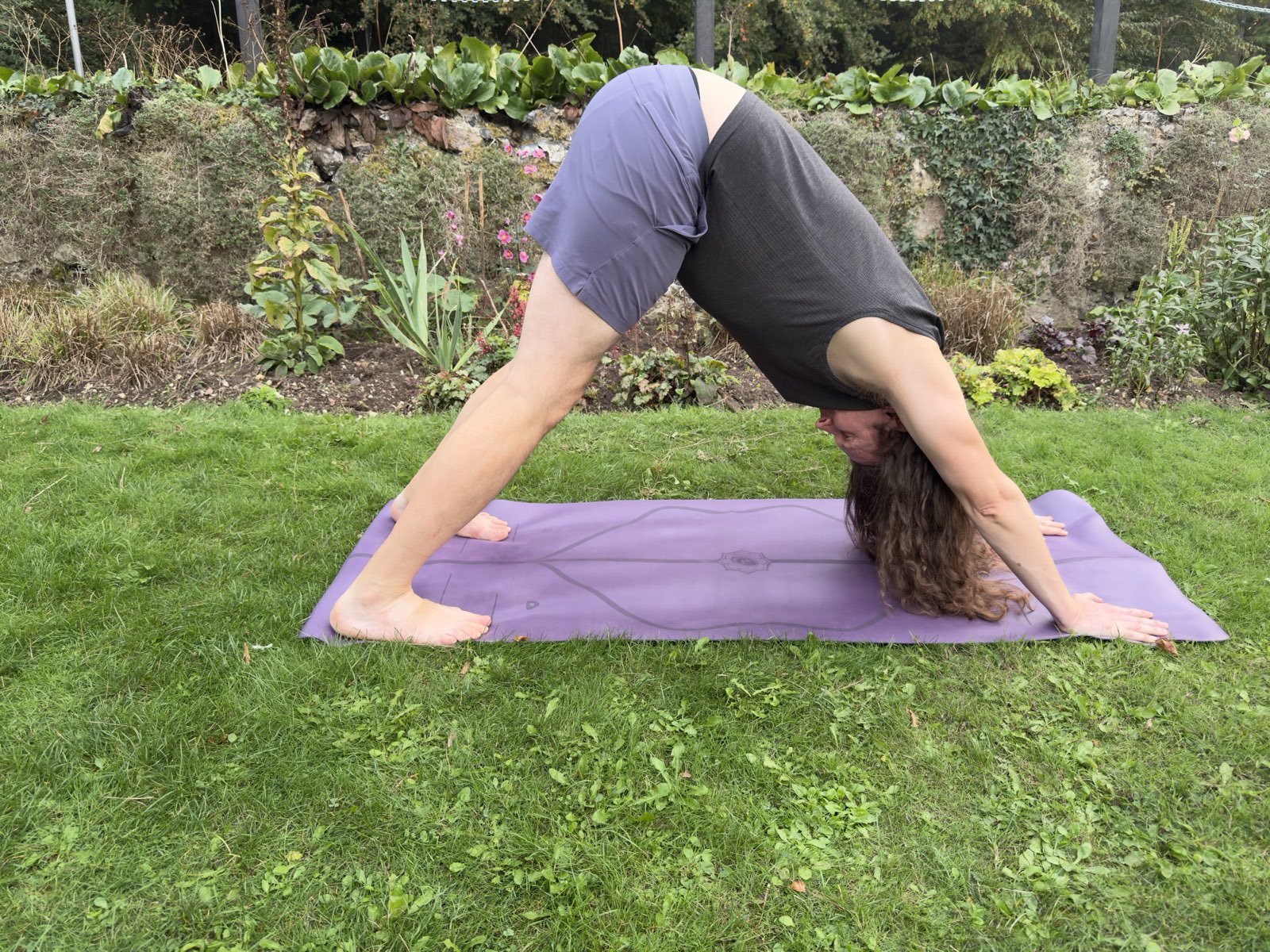 Ben in downward dog on a purple mat in a walled garden
